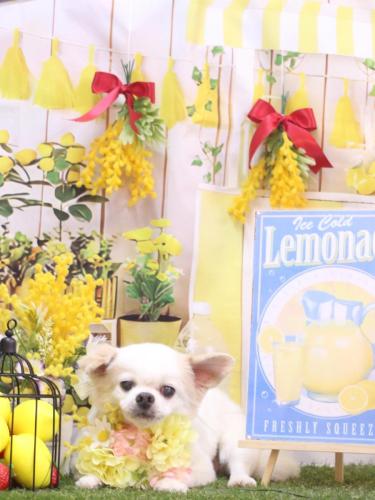 20240416風太くん